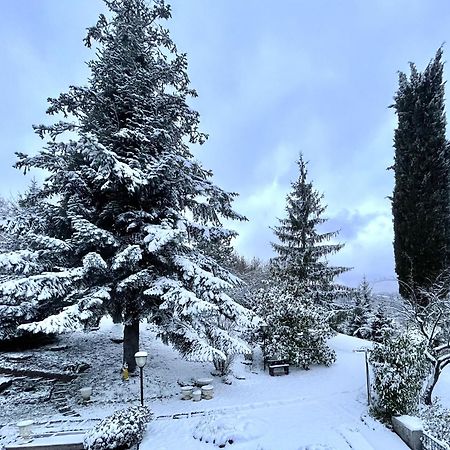 Mazzetti Country House-Vita In Campagna Con Giardino Vimignano-Chiesa エクステリア 写真