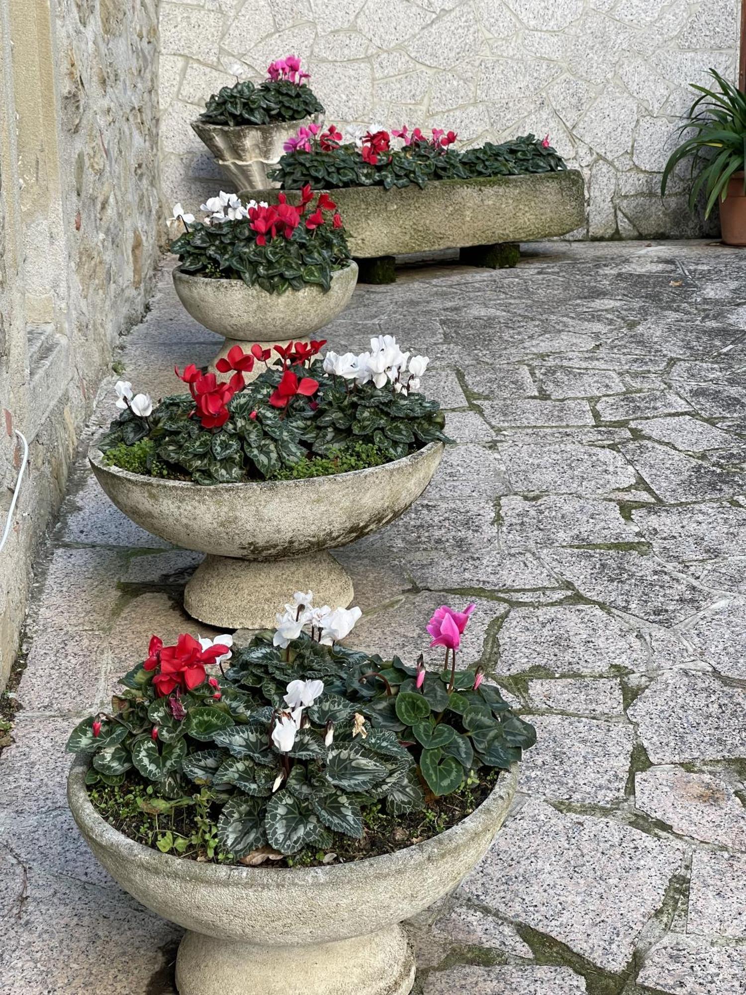 Mazzetti Country House-Vita In Campagna Con Giardino Vimignano-Chiesa エクステリア 写真