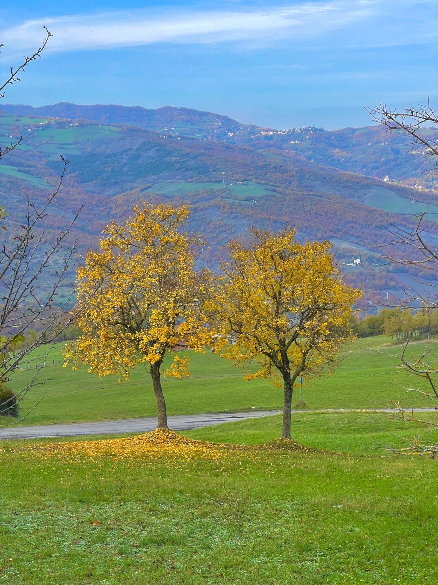 Mazzetti Country House-Vita In Campagna Con Giardino Vimignano-Chiesa エクステリア 写真