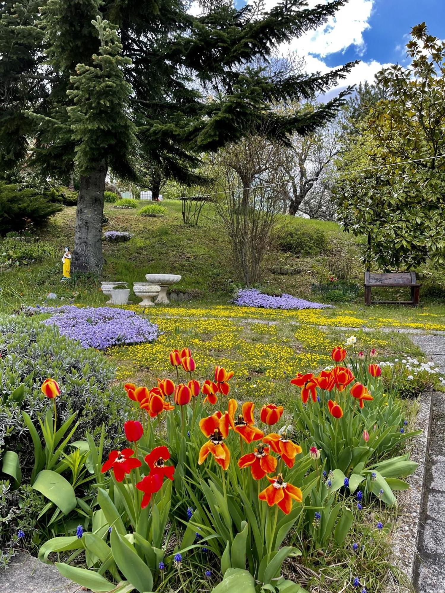 Mazzetti Country House-Vita In Campagna Con Giardino Vimignano-Chiesa エクステリア 写真