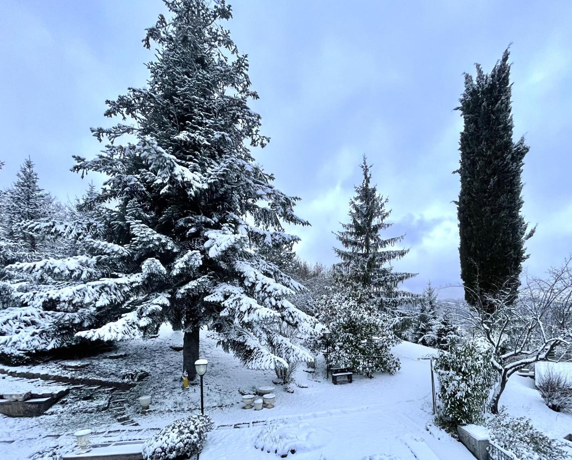 Mazzetti Country House-Vita In Campagna Con Giardino Vimignano-Chiesa エクステリア 写真