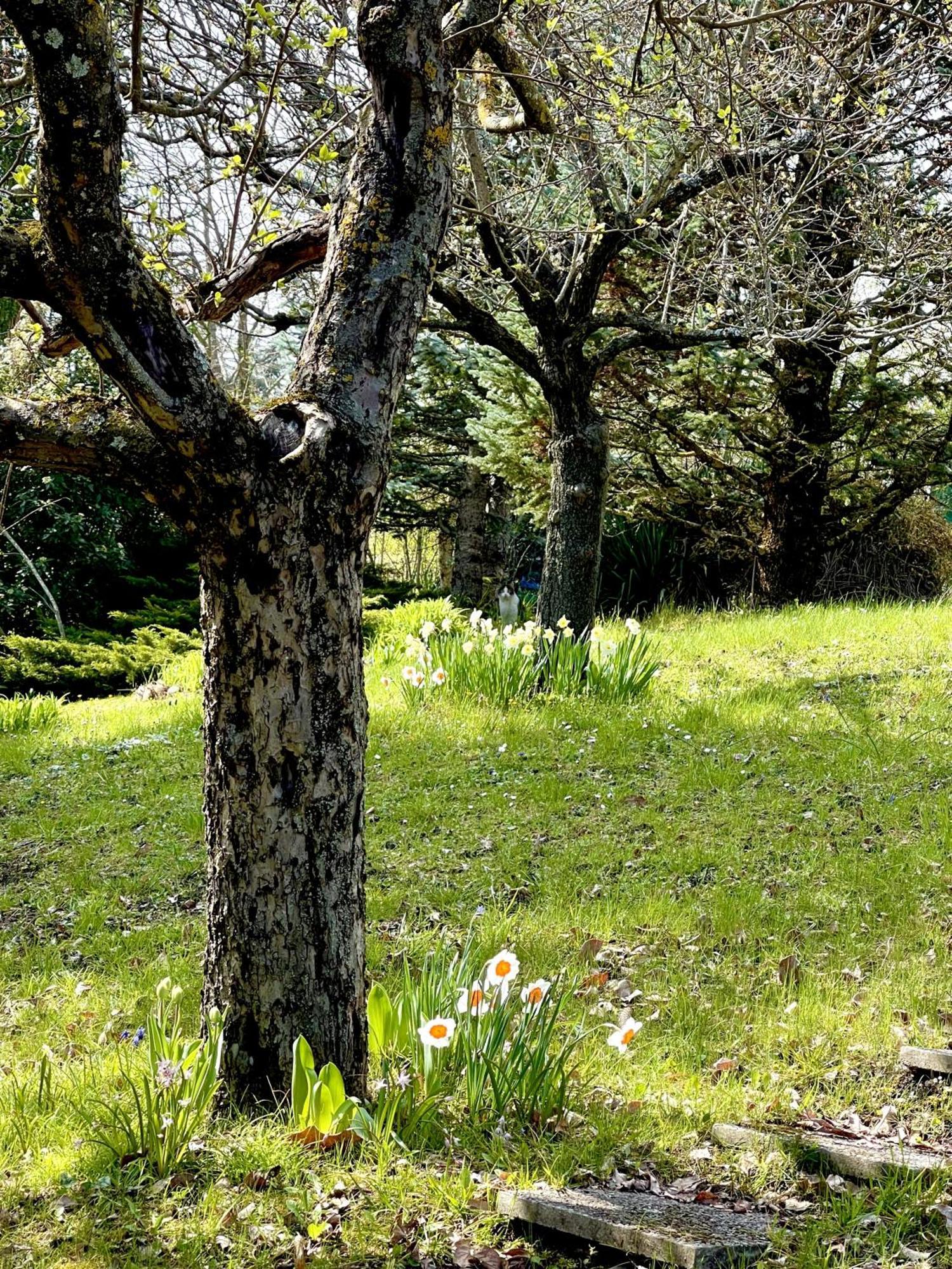 Mazzetti Country House-Vita In Campagna Con Giardino Vimignano-Chiesa エクステリア 写真