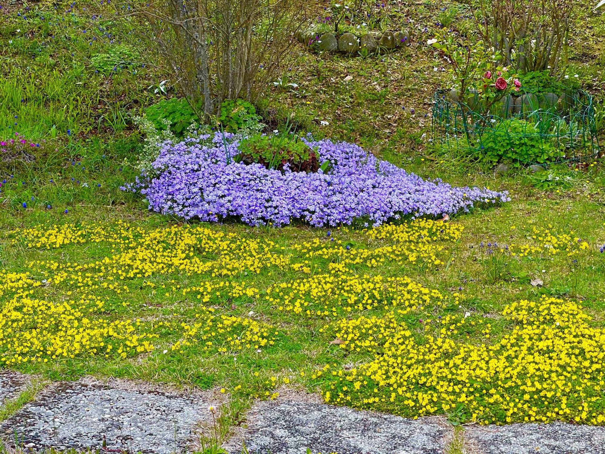 Mazzetti Country House-Vita In Campagna Con Giardino Vimignano-Chiesa エクステリア 写真