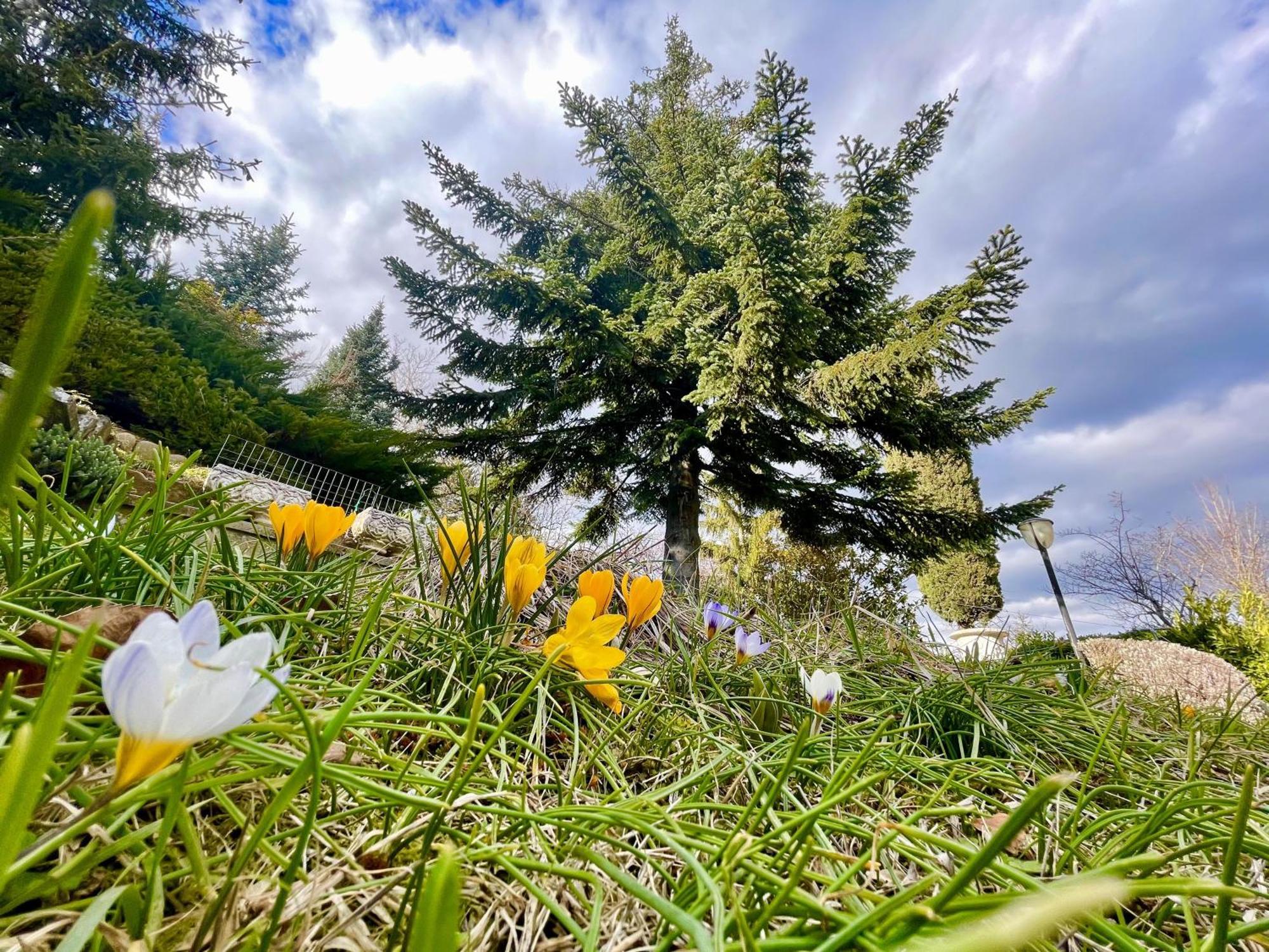 Mazzetti Country House-Vita In Campagna Con Giardino Vimignano-Chiesa エクステリア 写真