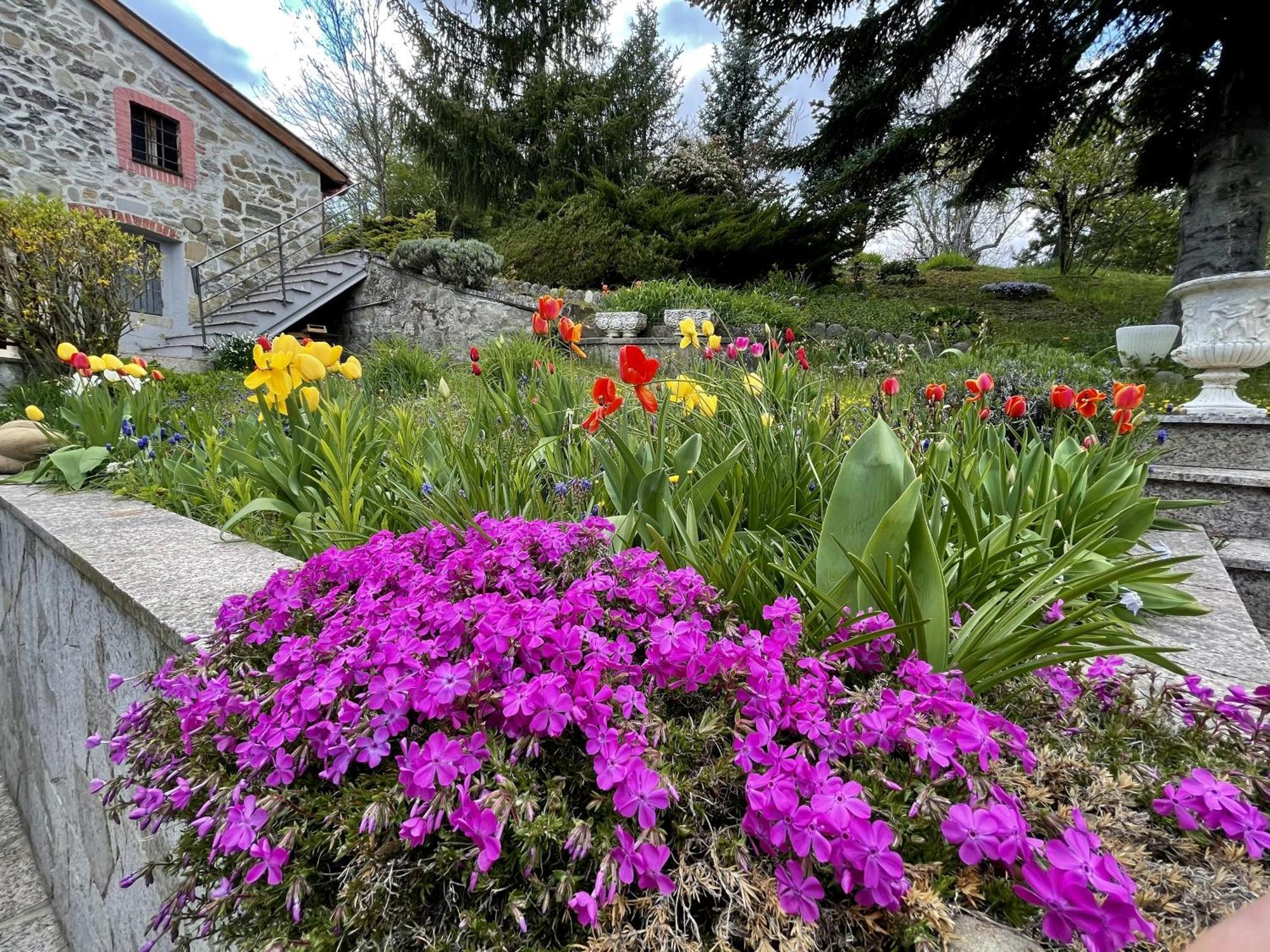 Mazzetti Country House-Vita In Campagna Con Giardino Vimignano-Chiesa エクステリア 写真