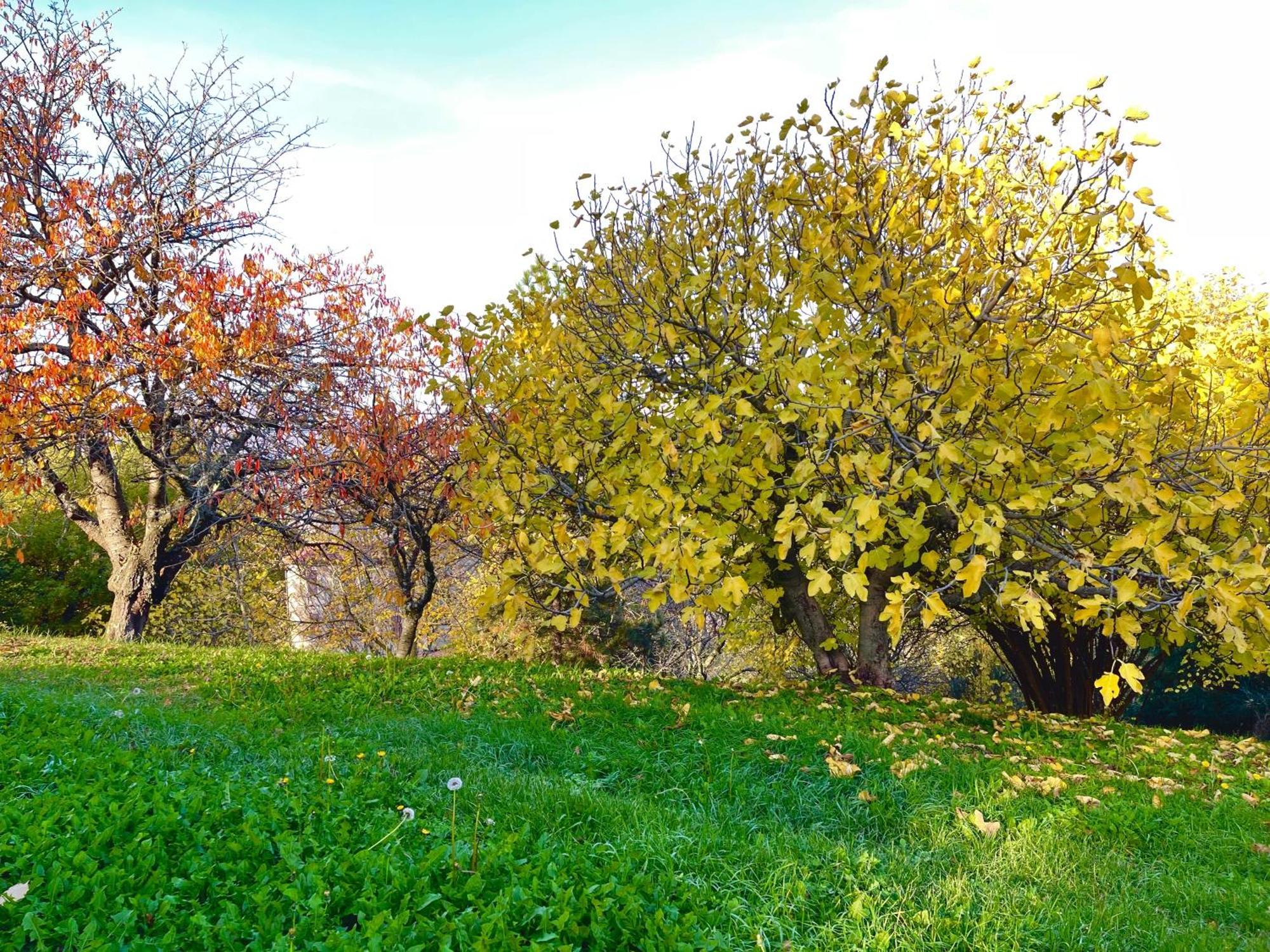 Mazzetti Country House-Vita In Campagna Con Giardino Vimignano-Chiesa エクステリア 写真
