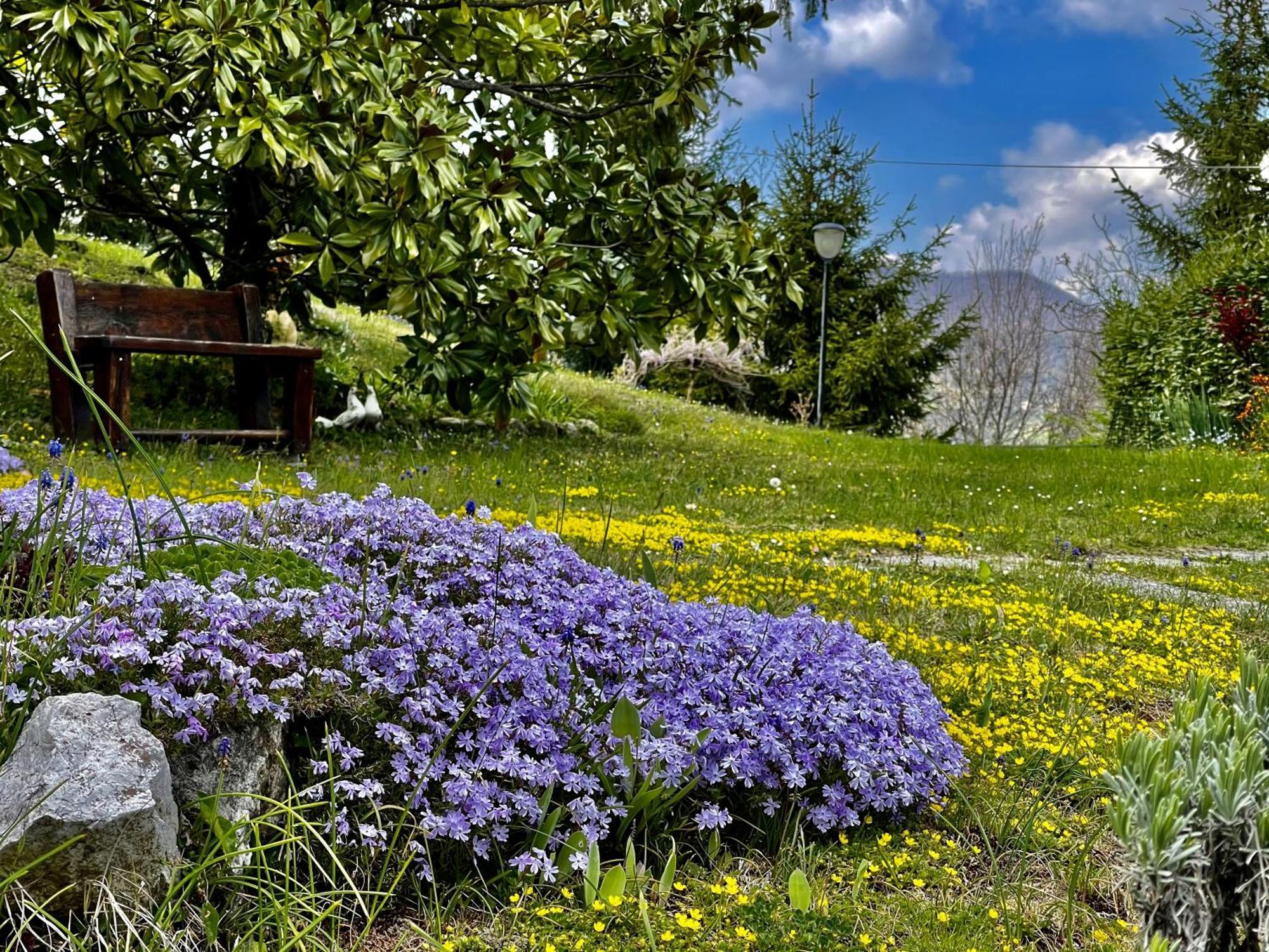 Mazzetti Country House-Vita In Campagna Con Giardino Vimignano-Chiesa エクステリア 写真
